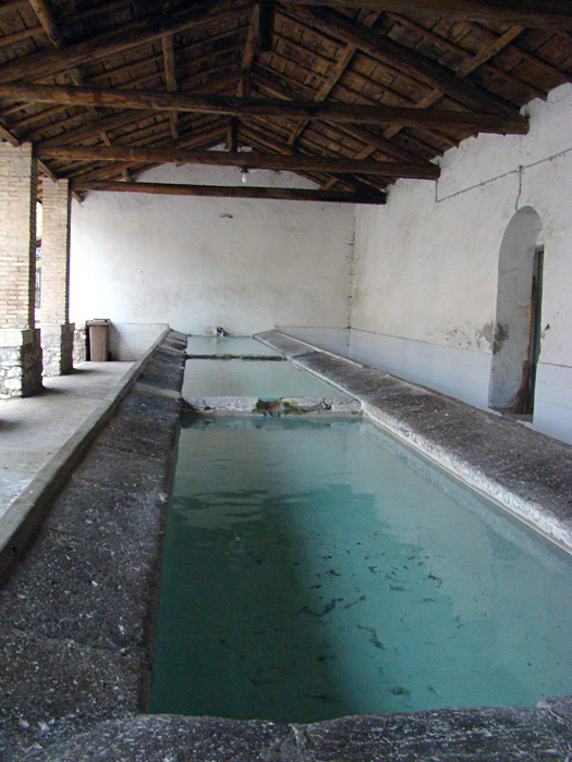 Fontanili del Lazio